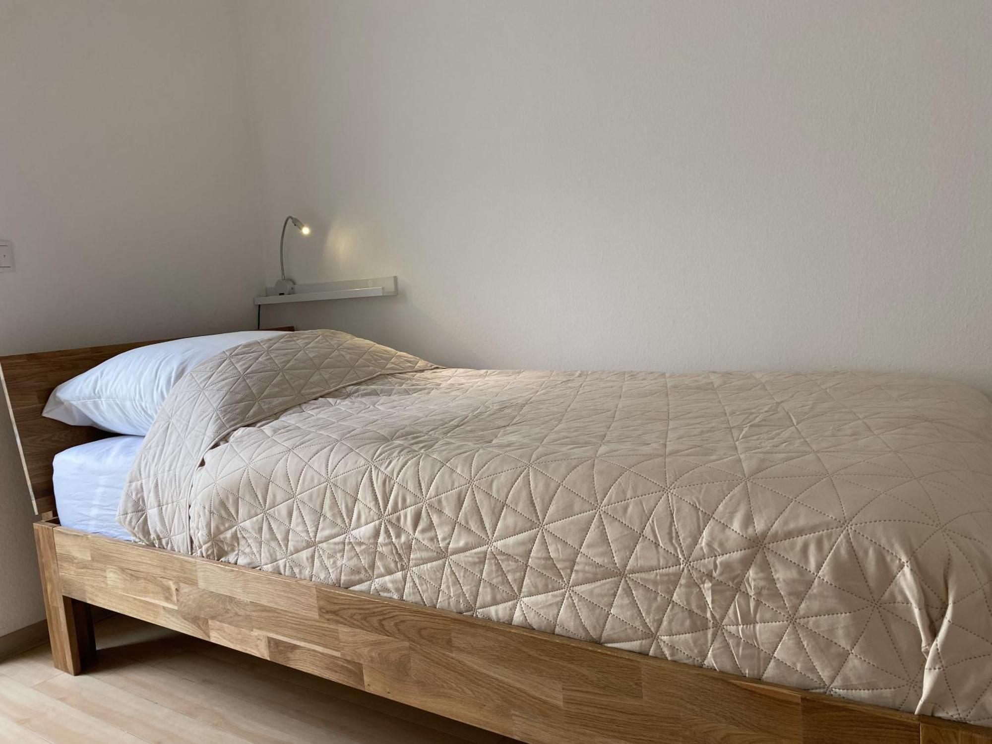 Neu Apartment In Schloss Naehe,Parkplatz, Netflix Sögel Buitenkant foto